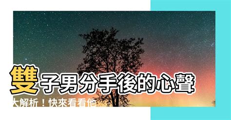 雙子男 分手|雙子男分手後還愛的表現：你看得見的心之痕跡 – 星語軌跡 讓星。